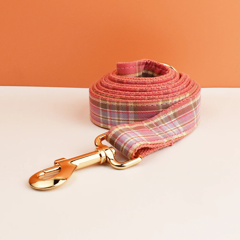 collier et laisse pour chien japonais