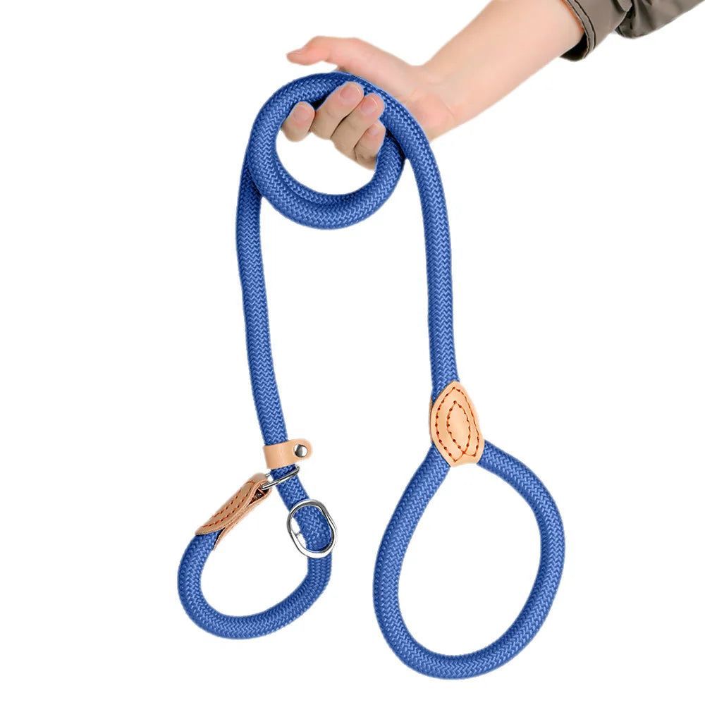 laisse coulissante pour chien