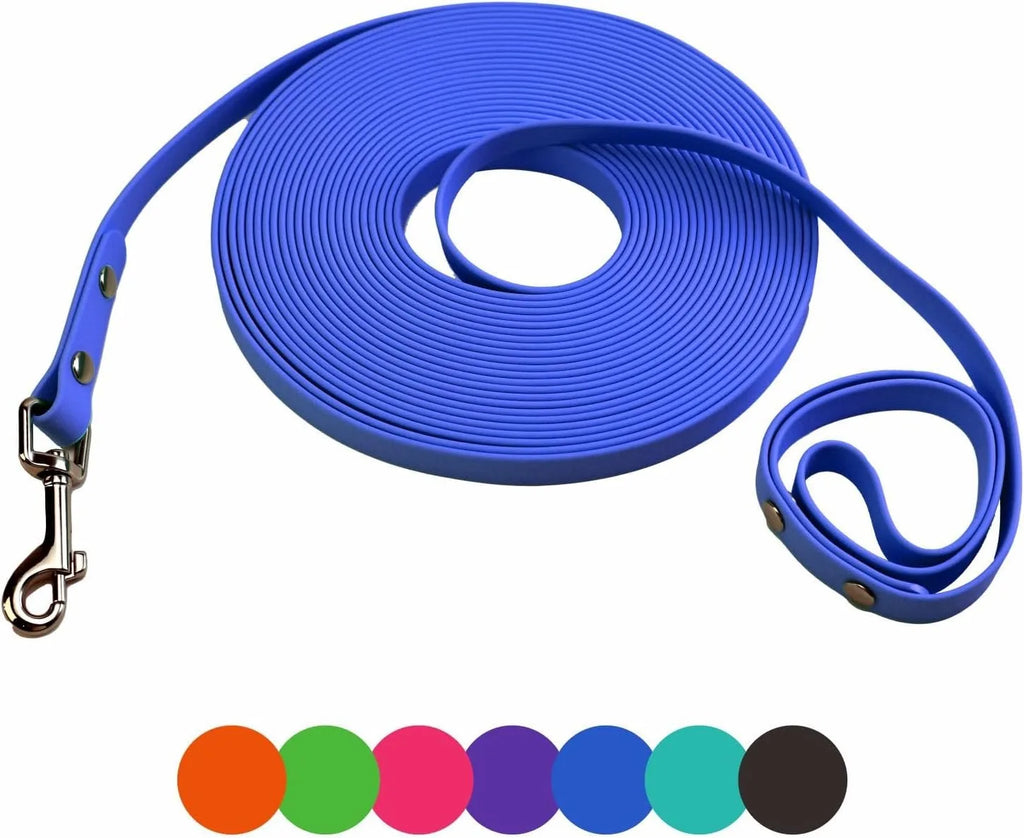 laisse flexible pour chien 5m