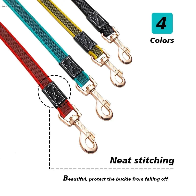 laisse 5 mètre pour chien