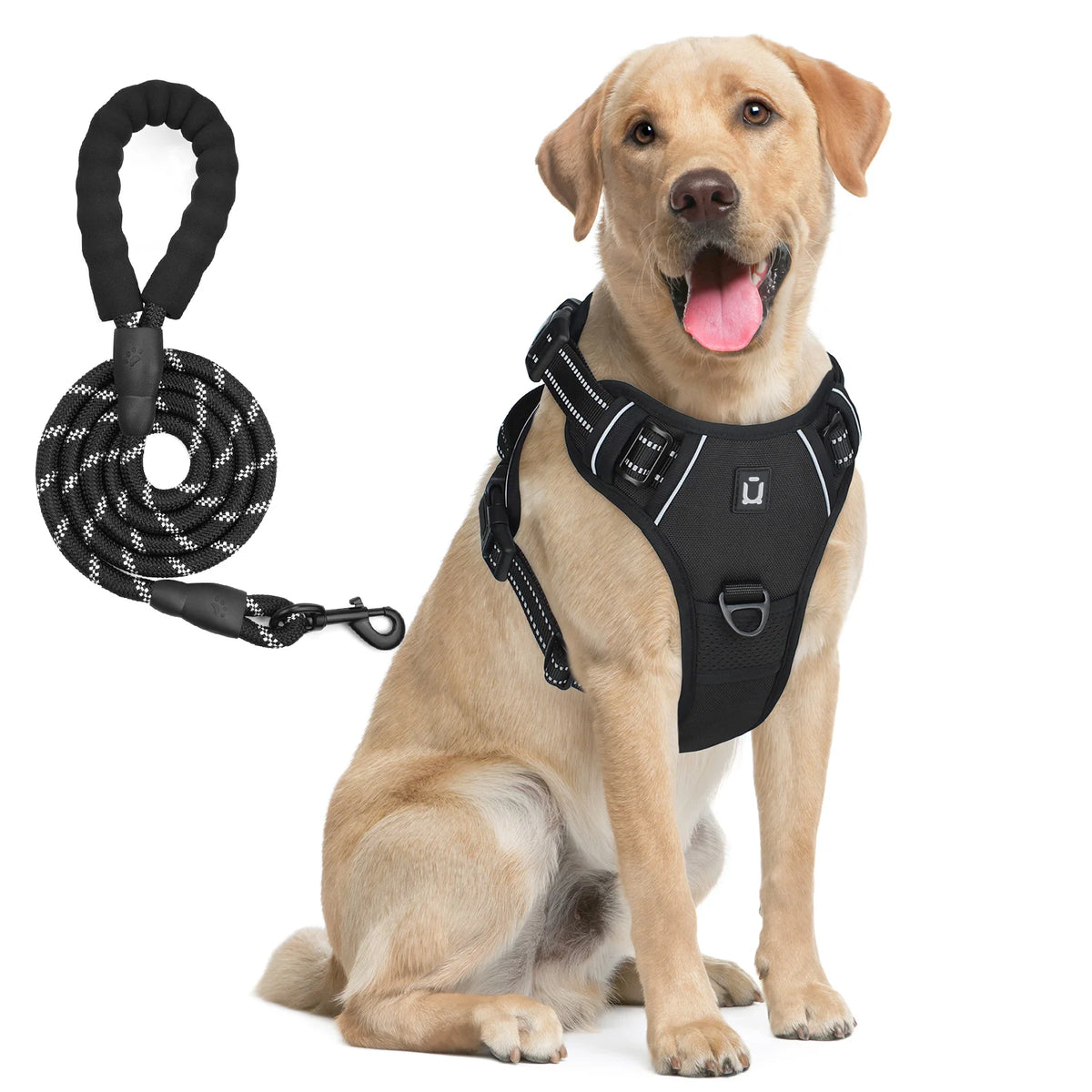 harnais laisse pour chien bleu