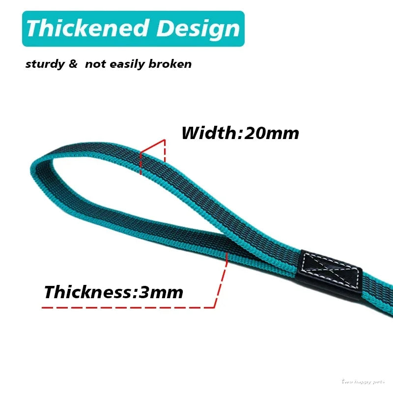 laisse 5 mètre pour chien