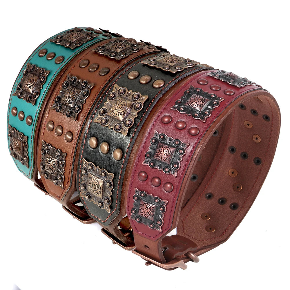 collier et laisse avec bouton pour chien