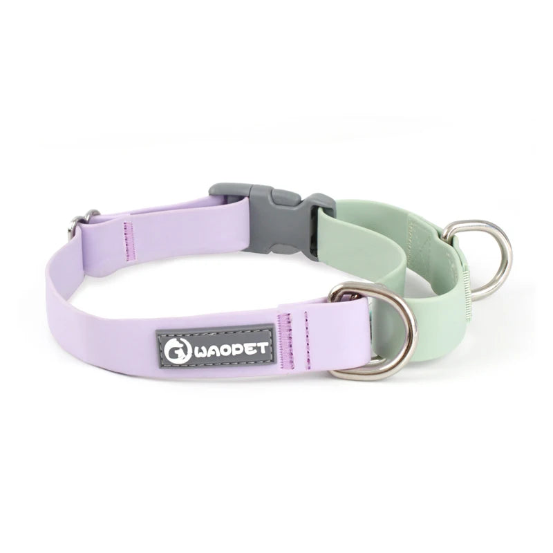collier et laisse pour chien