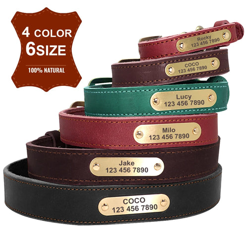 collier epais en cuire avec laisse pour gros chien