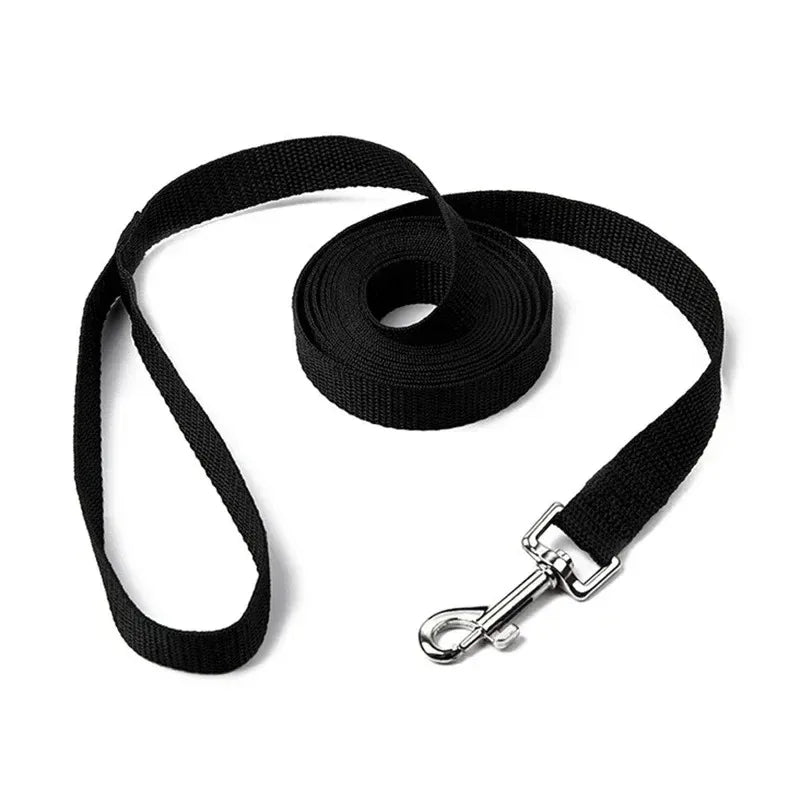 laisse 8 m pour chien