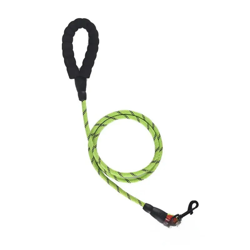 laisse pour chien 8 mm
