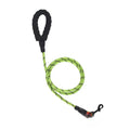 laisse pour chien 8 mm