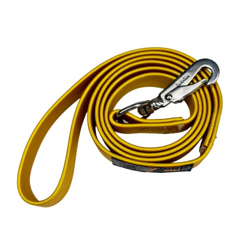 laisse en silicone pour chien