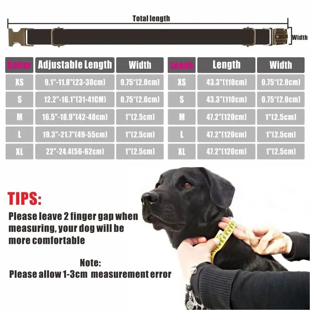 laisse plate pour chien