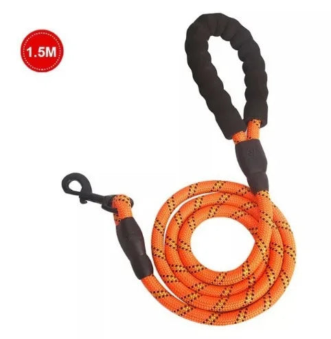 laisse harnais pour chien
