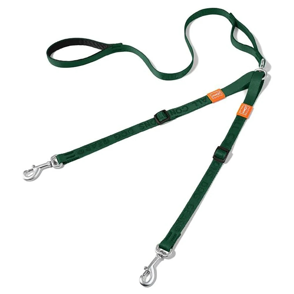 double laisse pour chien fine
