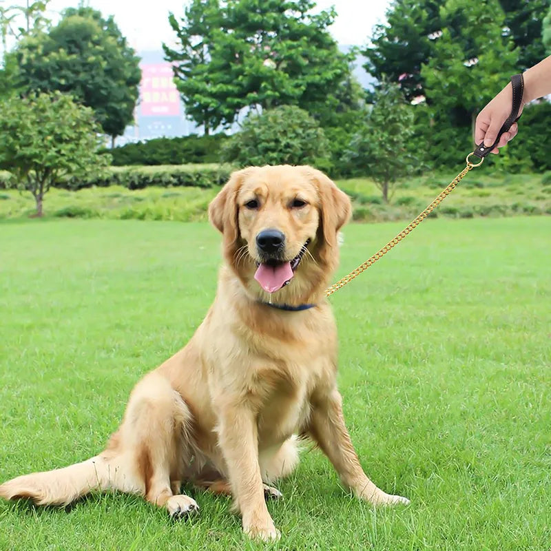 laisse en metal gros chien
