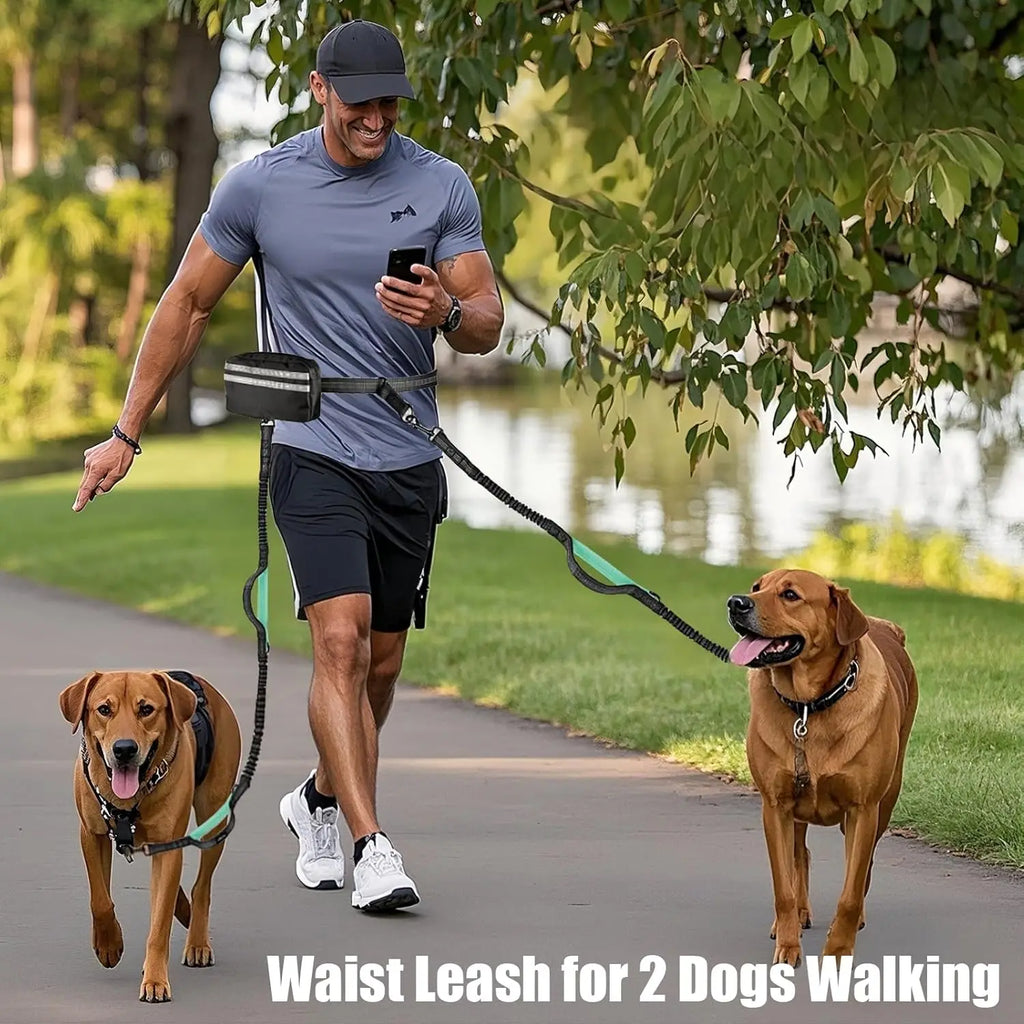 double laisse pour chien ventrale avec rangement