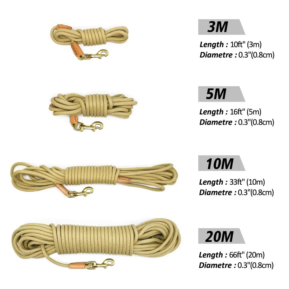laisse corde en nylon pour chien