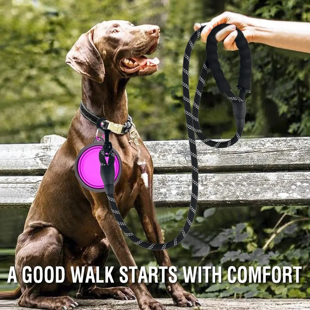 laisse ronde pour chien