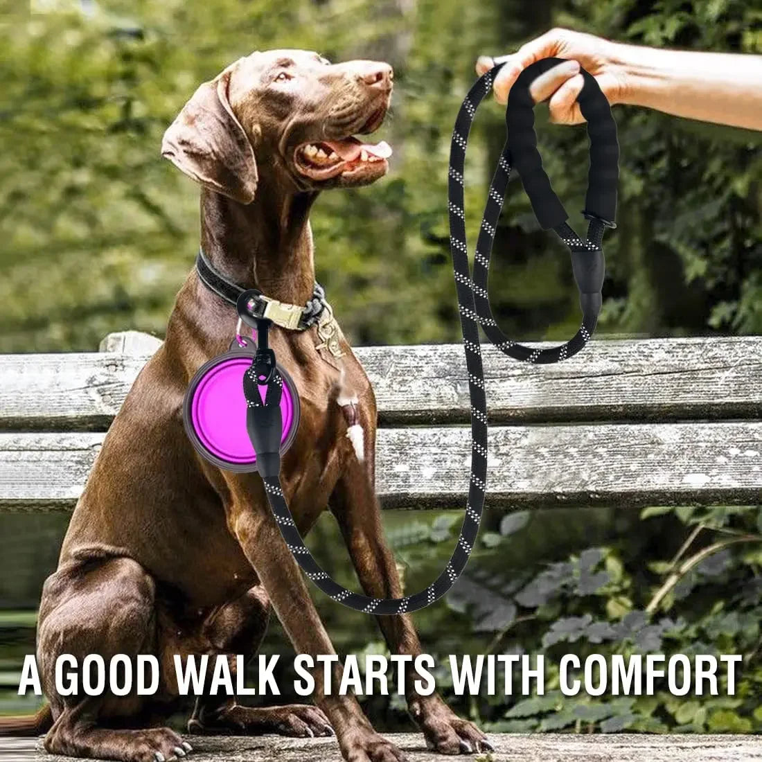 laisse ronde pour chien